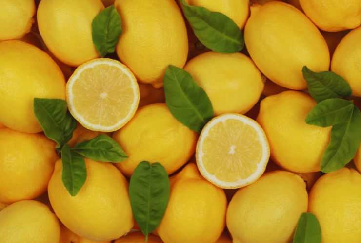 limone e ricette