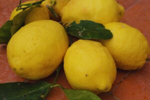 ricette con limone procida